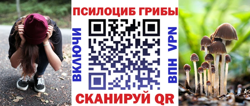 Галлюциногенные грибы мицелий  Волоколамск 