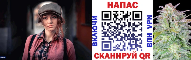 Каннабис план  где купить наркоту  Волоколамск 
